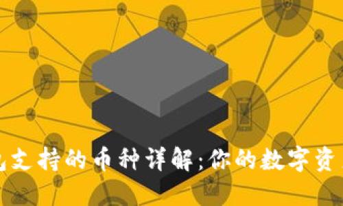 以太坊钱包支持的币种详解：你的数字资产最佳选择