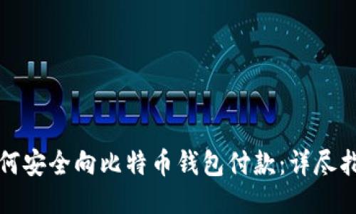 如何安全向比特币钱包付款：详尽指南