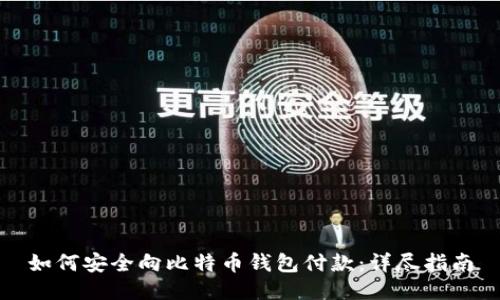 如何安全向比特币钱包付款：详尽指南