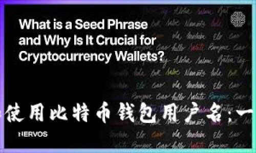 如何选择和使用比特币钱包用户名：一份终极指南