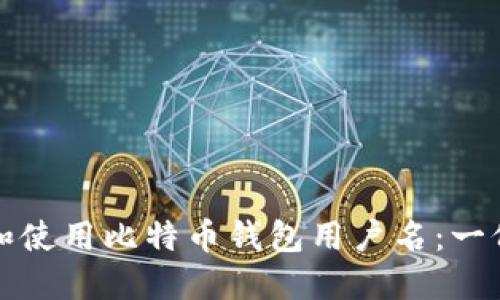 如何选择和使用比特币钱包用户名：一份终极指南