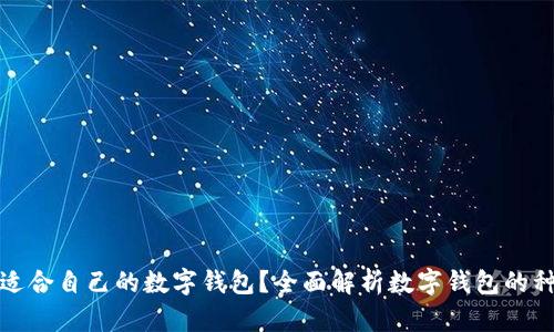 如何选择适合自己的数字钱包？全面解析数字钱包的种类与优势