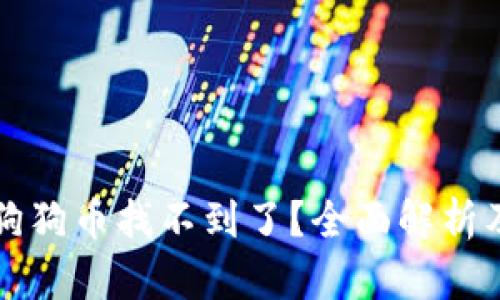钱包里的狗狗币找不到了？全面解析及解决方案
