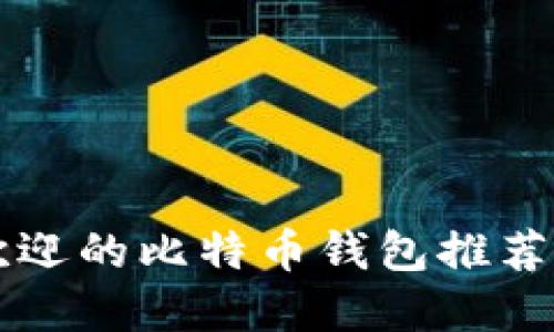 国内最受欢迎的比特币钱包推荐与使用指南