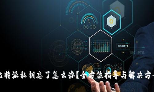 比特派私钥忘了怎么办？全方位指导与解决方案