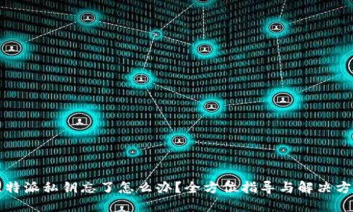 比特派私钥忘了怎么办？全方位指导与解决方案