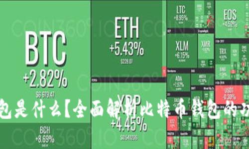 比特币钱包是什么？全面解析比特币钱包的功能与类型