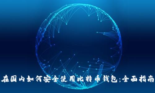 在国内如何安全使用比特币钱包：全面指南