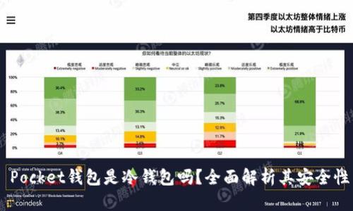 Token Pocket钱包是冷钱包吗？全面解析其安全性与功能