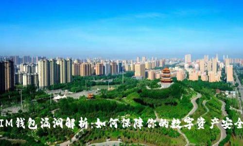 IM钱包漏洞解析：如何保障你的数字资产安全