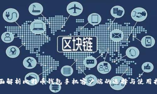 全面解析比特币钱包手机客户端的选择与使用指南