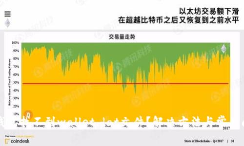 比特币钱包找不到wallet.dat文件？解决方法与常见问题解析