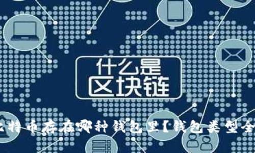biasi比特币存在哪种钱包里？钱包类型全面解析