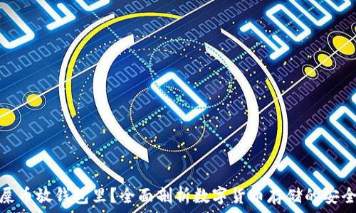   
为什么要把屎币放钱包里？全面剖析数字货币存储的安全性与收益性