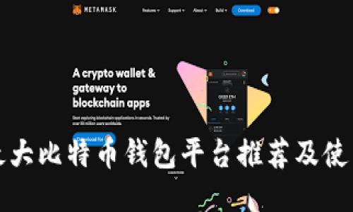 全球最大比特币钱包平台推荐及使用指南