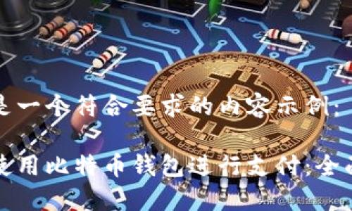 以下是一个符合要求的内容示例：

如何使用比特币钱包进行支付：全面指南