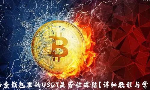 
如何检查钱包里的USDT是否被冻结？详细教程与常见问答