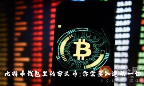 比特币钱包里的分叉币：你需要知道的一切