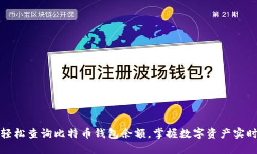 如何轻松查询比特币钱包余额，掌握数字资产实时动态