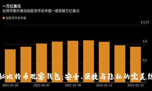 揭秘比特币观察钱包：安全、便捷与隐私的完美结合