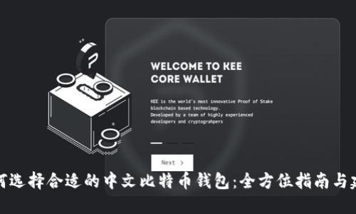 如何选择合适的中文比特币钱包：全方位指南与建议