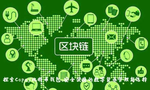 探索Copay比特币钱包：安全便捷的数字货币管理新选择