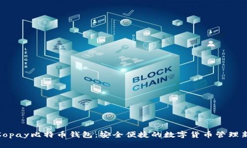 探索Copay比特币钱包：安全便捷的数字货币管理新选择