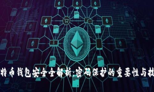 比特币钱包安全全解析：密码保护的重要性与技巧