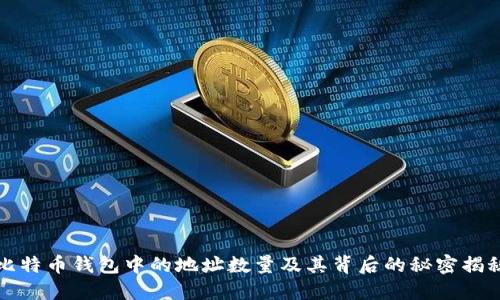 比特币钱包中的地址数量及其背后的秘密揭秘