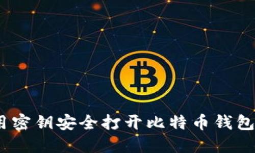 揭秘：如何利用密钥安全打开比特币钱包的方法与技巧