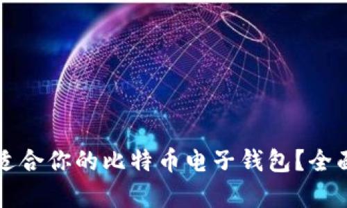 如何选择最适合你的比特币电子钱包？全面解析与推荐