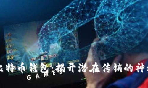 空中比特币钱包：揭开潜在传销的神秘面纱