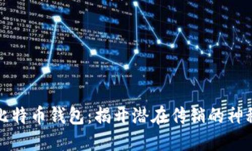 空中比特币钱包：揭开潜在传销的神秘面纱